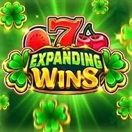 Expanding WinsPlatipus screenshot